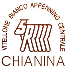 chianina 1